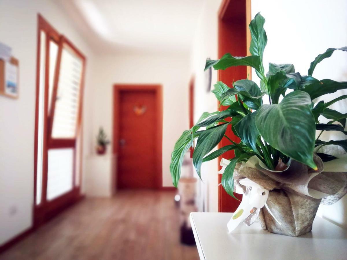 Agriturismo Casa Rossa Postioma Экстерьер фото